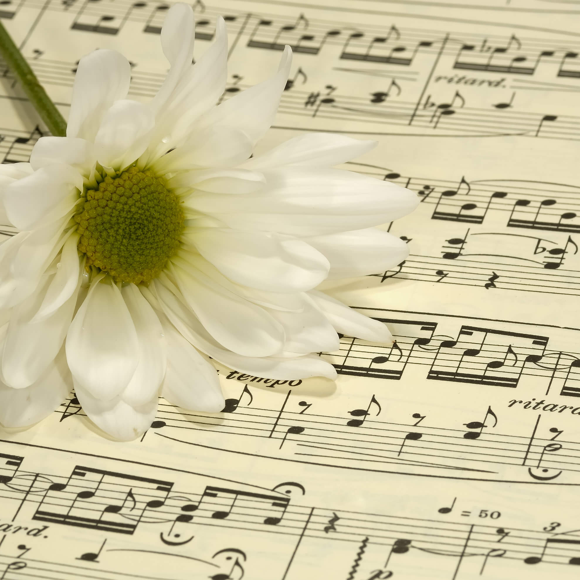Musica classica - Musica per il Vostro Matrimonio